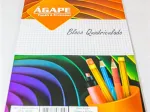 BLOCO QUADRICULADO 005 210MMX297MM 10X1 C/40FLS 