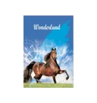 CAD BROCHURAO UNIV CD COST 96FLS WONDERLAND C/5 
