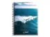CAD CAPA DURA 300FLS 15X1 X-PHOTO PC/3 