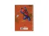 CADERNO SINGULAR UNIVERSITARIO 1 MATERIA - HOMEM-ARANHA 