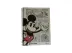 CADERNO SINGULAR UNIVERSITARIO 1 MATERIA - QUADRINHOS DISNEY 