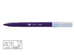 CANETA HIDROCOR C/12 COLORCIS ACQUA  