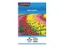 FILME ADESIVO TRANSPARENTE 150G A4 C/10FLS 