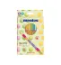 HIDROGRAFICA NEO PEN GIGANTE MENTOS C/12 CORES PASTEIS-PCT/5 