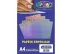 PAPEL HOLOGRAFICO PRATA A4 120G C/10 FLS 