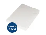 PASTA PLAST.ALVEOLAR C/EL.OF 5,5CM TRANSP PC/10 