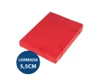 PASTA PLAST.ALVEOLAR C/EL.OF 5,5CM VERMELHO PC/10 