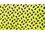 PLACA DE EVA ESTAMP 40X60 PC/5FLS GATINHO 