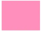PLACA EVA COLOR 40CMX48CM ROSA C/10FLS 