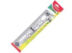 REGUA GEONOTES 30 CM BLISTER X 1 
