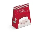 SACO PAPEL P/PRESENTE G 35x26,5x11,5 NICOLAU C/10 