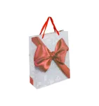 SACOLA DE PRESENTE LACO SORTIDA G YINS PAPER PC/12 