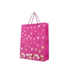 SACOLA DE PRESENTE LOVE SORTIDA G PC/12UN 