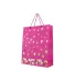 SACOLA DE PRESENTE LOVE SORTIDA G PC/12UN 