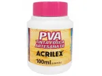 TINTA FOSCA P/ARTESANATO 100ML 519 CX/6 BRANCO